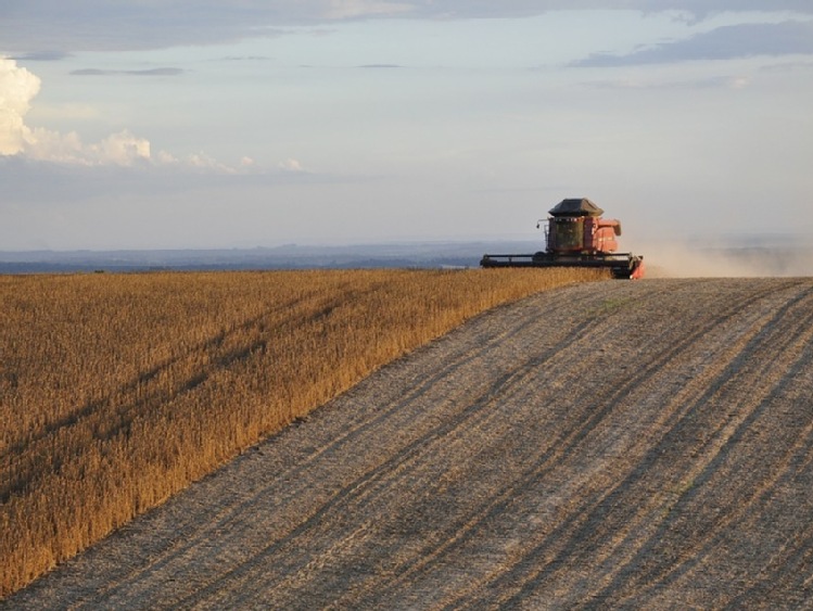 UE – Komisja Europejska  opublikowała pierwszy  bilans proteinowy