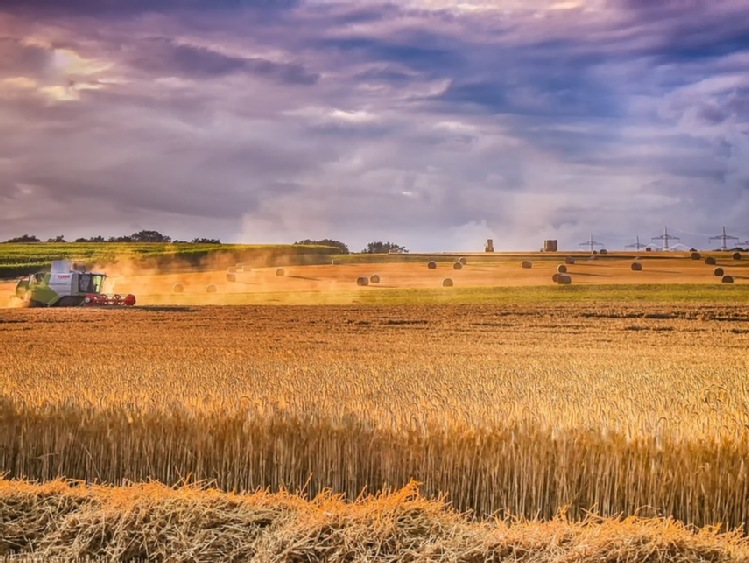 Kandydaci na dolnośląskich Mistrzów i Wicemistrzów AgroLigi 2021