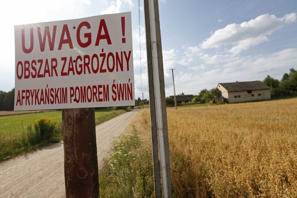 GIW: zmiana w regionalizacji w związku z  ASF