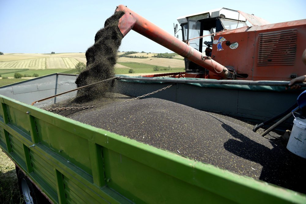 Ukraina zebrała 67 mln ton zbóż i oleistych